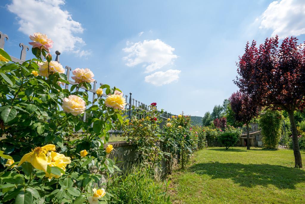 B&B Maesta' Di Cudino Arezzo Exterior photo